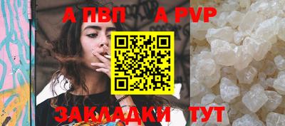 spice Кингисепп