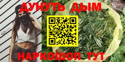 spice Кингисепп