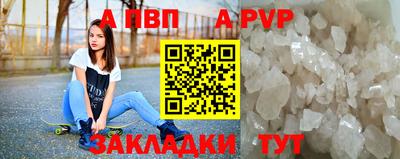 spice Кингисепп