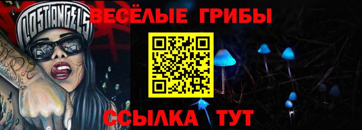Псилоцибиновые грибы Psilocybine cubensis Костомукша